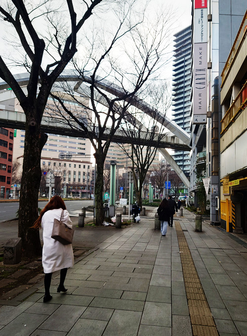 モノレールの軌道とその向こうに中央公園が見えます。